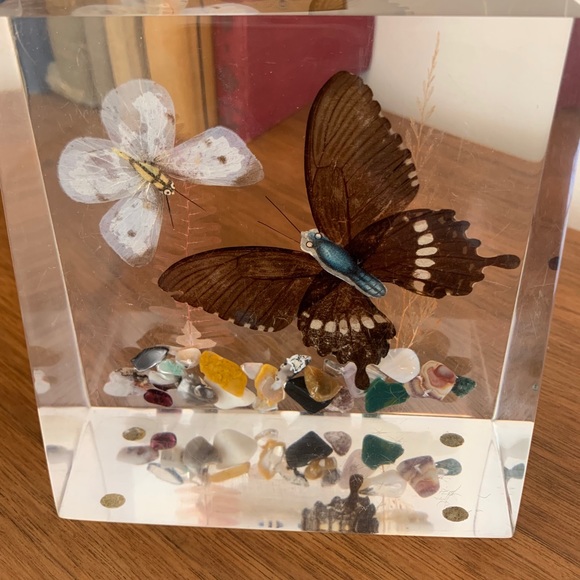 Vintage Lucite Pressed Butterfly Decor - Picture 5 of 11